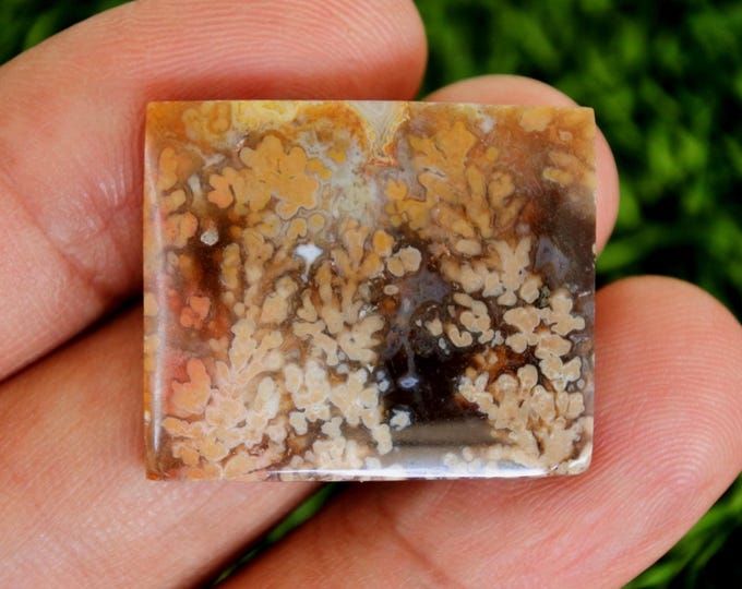 Flower Agate Gemstone: Polished Agate Rock (28x23.7x4.9mm)