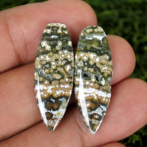 May include: Two polished, elongated gemstones with a mix of green, brown, white, and black patterns. The stones have a glossy finish and are held in a hand, showcasing their natural beauty and unique color variations.
