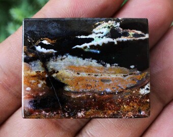 Madera petrificada opalizada multicolor