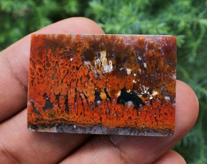 Plume Multicolor Opalized Petrified Wood
