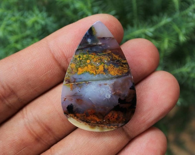 Opalized petrified wood