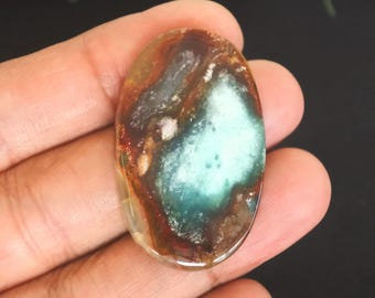 Opalized Petrified Wood