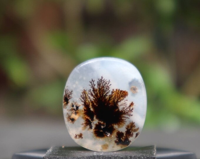 Dendritic agate