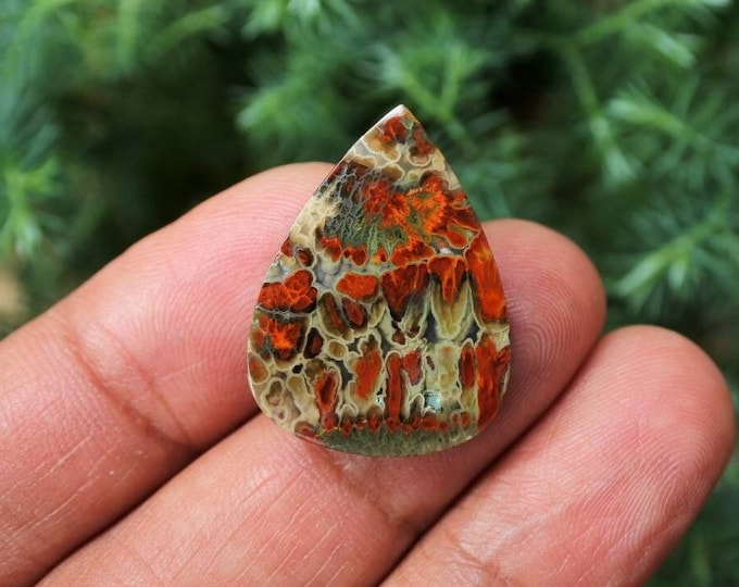 Plume Multicolor Opalized Petrified Wood