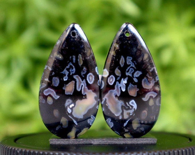 Fossilized Black Palm Tree Earring Pair