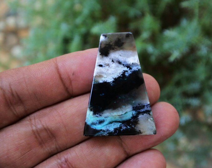 Opalized petrified wood