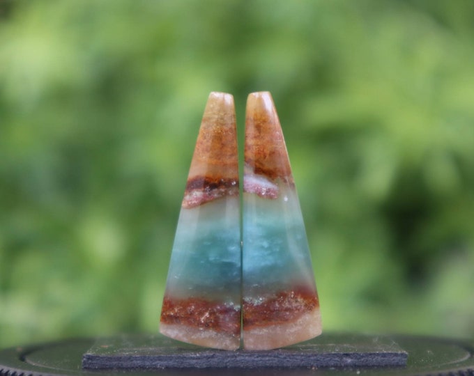 Opalized Petrified Wood Earring Pair