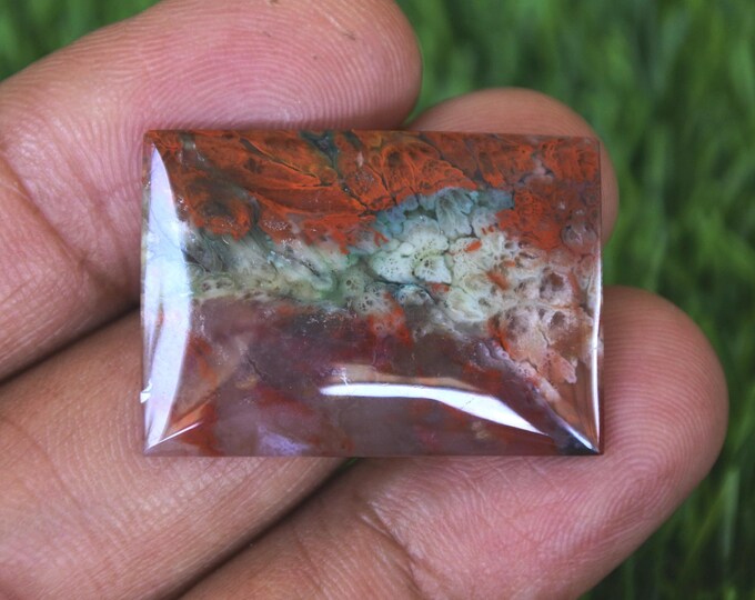 Plume Multicolor Opalized Petrified Wood