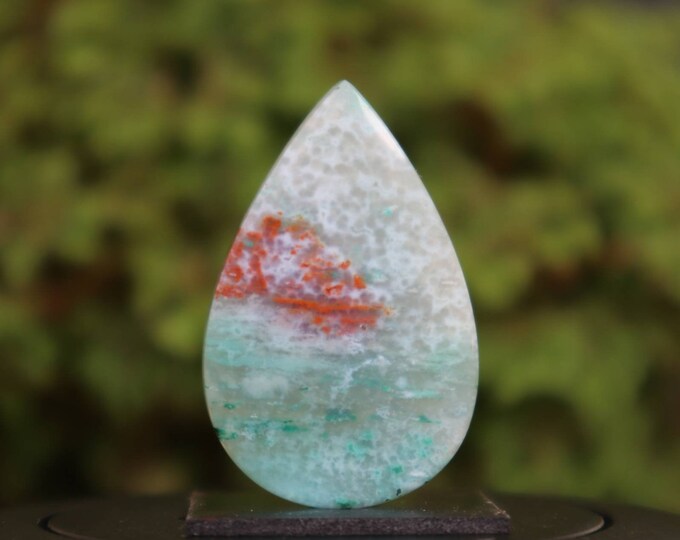 Opalized wood