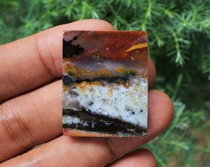 Opalized petrified wood