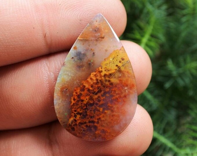 Plume Multicolor Opalized Petrified Wood