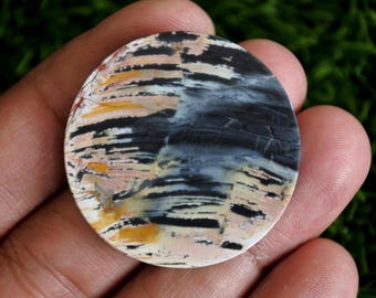 Fossilized Palmwood Gemstone,Petrified Wood
