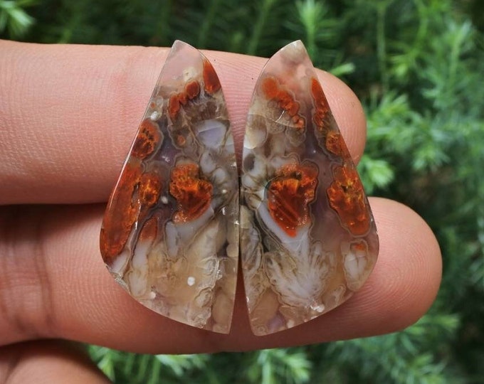 Plume Multicolor Opalized Petrified Wood Earring Pair