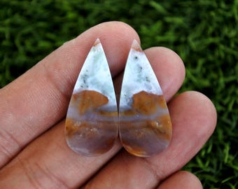 Opalized Petrified Wood Earring Pair