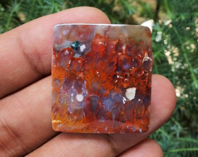 Plume Multicolor Opalized Petrified Wood