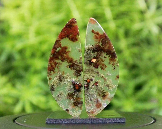 Moss Agate Earring Pair