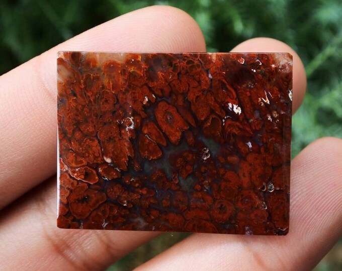 Plume Multicolor Opalized Petrified Wood