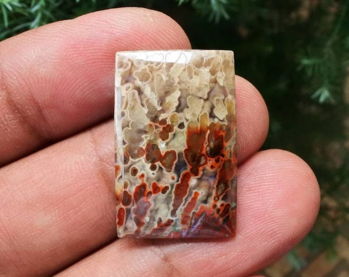 Plume Multicolor Opalized Petrified Wood