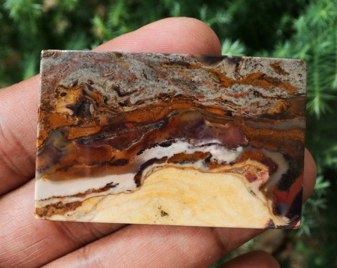Multicolor Petrified Wood