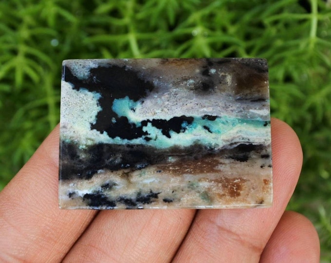 Opalized Petrified Wood