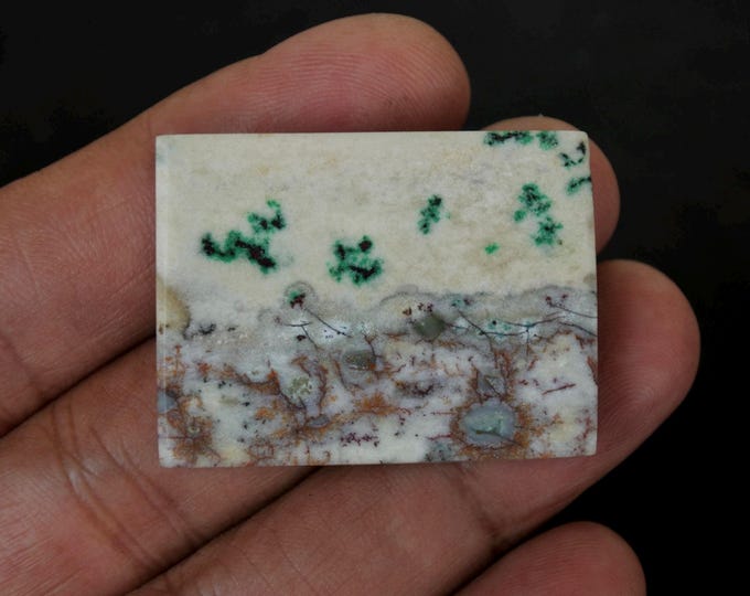 Multicolor Opalized wood