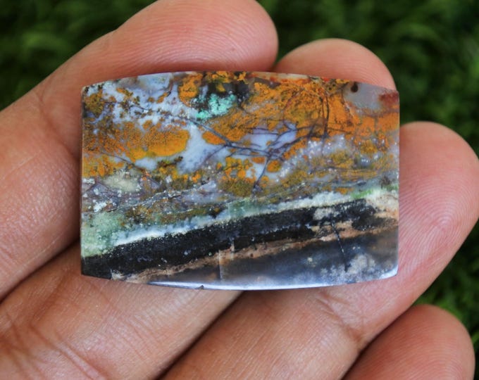 Opalized petrified wood