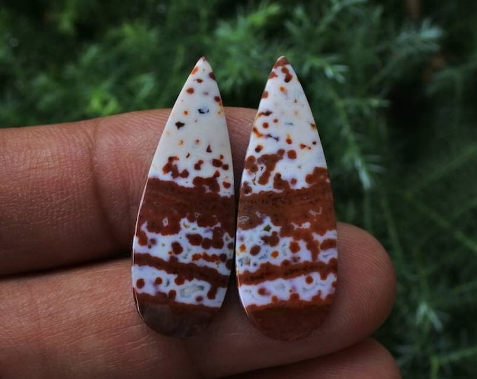Multicolor Ocean Jasper Earring Pair