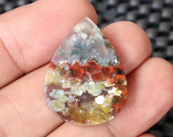 Plume Multicolor Opalized Petrified Wood