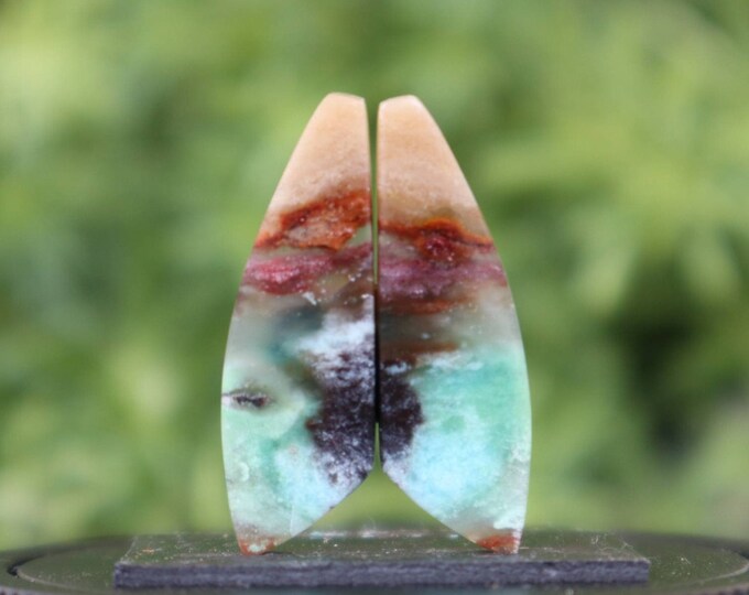 Opalized Petrified Wood Earring Pair