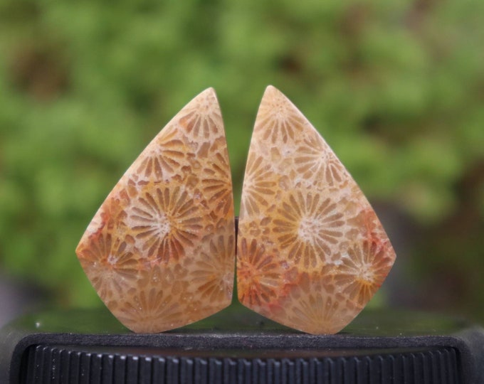 Coral agate pair,Agate rock,Agate stone, Malachite Gemstone,Agate crystal meaning,Larima gemstone,Flower agate,Tree agate,Fire agate