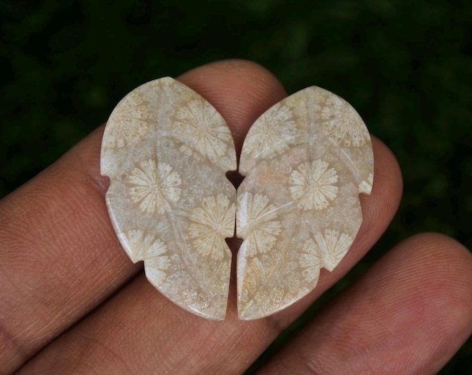 Leaf Carving Coral Agate Pair,Agate rock,Agate stone, Malachite Gemstone,Agate crystal meaning,Larima gemstone,Flower agate,Tree agate,
