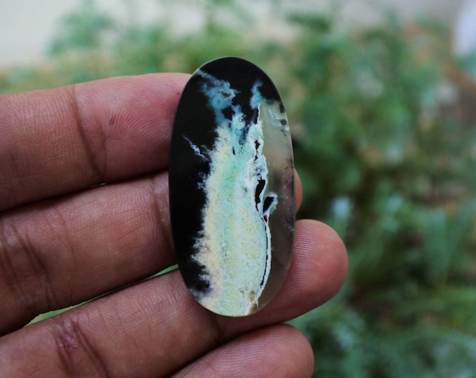 Opalized petrified wood