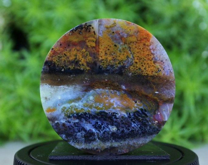 Multicolor Opalized wood