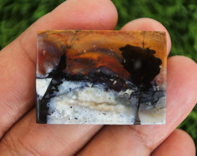 Opalized petrified wood
