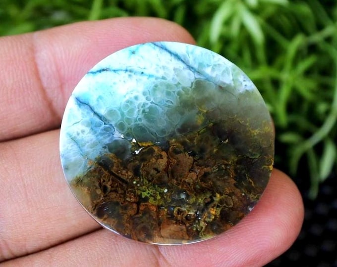 Plume Multicolor Opalized Petrified Wood