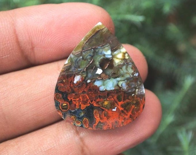 Plume Multicolor Opalized Petrified Wood