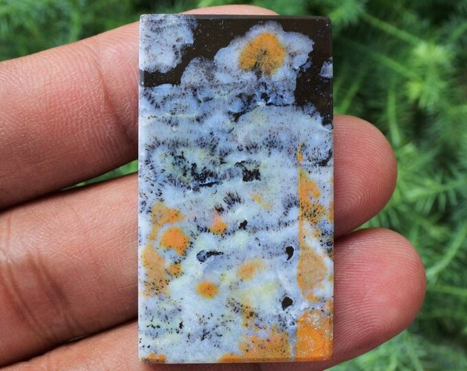 Multicolor Opalized wood