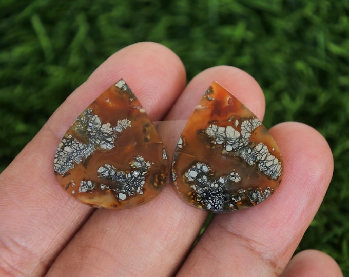 Marcasite Agate Earring Pair,Red Agate, Phyrite Agate