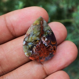 Plume Multicolor Opalized Petrified Wood