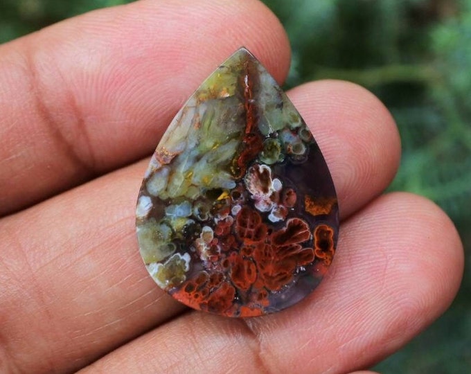 Plume Multicolor Opalized Petrified Wood
