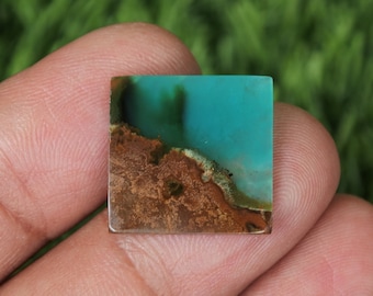 Blue Opalized petrified wood