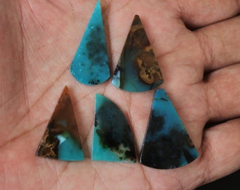 Blue Opalized petrified wood