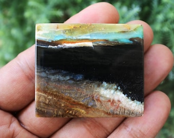 Large Scenic Opalized petrified wood