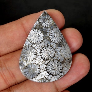 Pietra preziosa di agata corallina fossile, con motivo ad albero (44 mm x 32 mm)