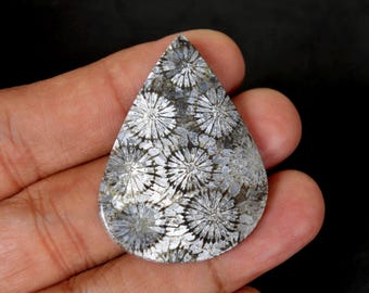 Fossiele koraalagaat-edelsteen, boompatroon (44 mm x 32 mm)
