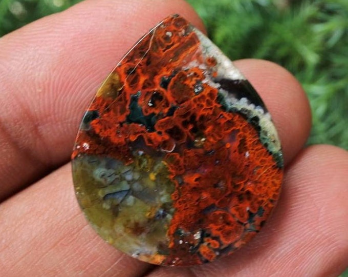 Plume Multicolor Opalized Petrified Wood