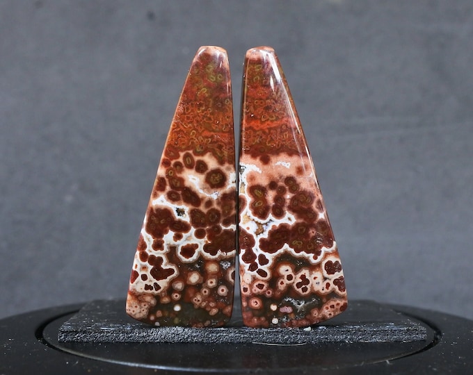 Multicolor Ocean Jasper Earring Pair