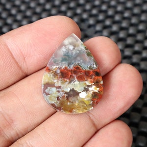Plume Multicolor Opalized Petrified Wood