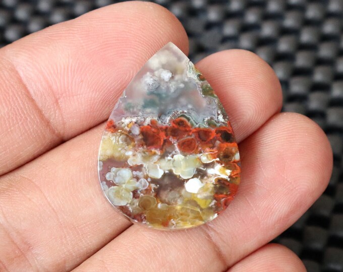Plume Multicolor Opalized Petrified Wood