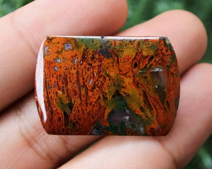 Plume Multicolor Opalized Petrified Wood